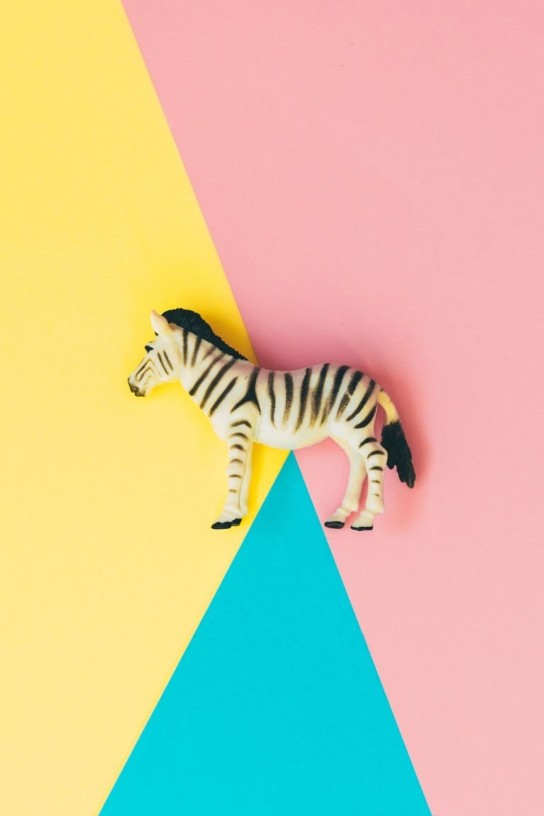 Zebra on a coloured background - A_Z of EDS