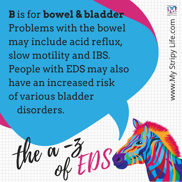 B is for bowel and bladder