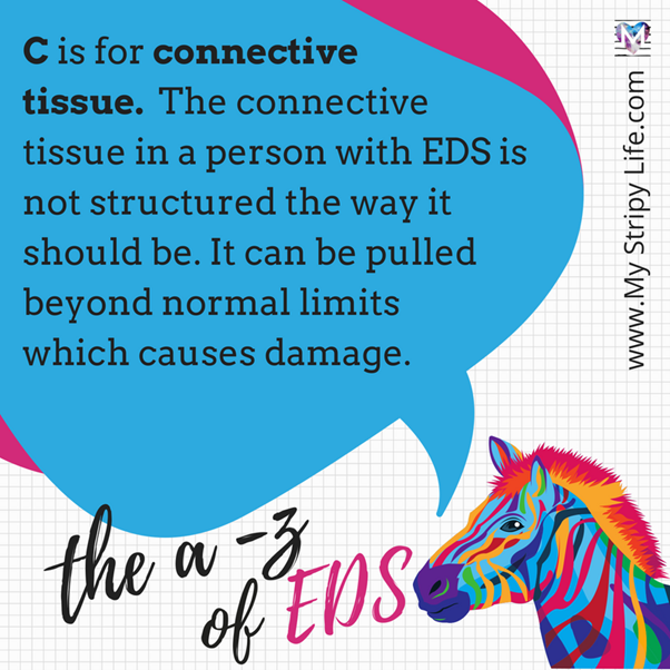 C is for connective tissue