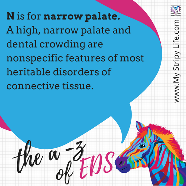 N is for narrow palate