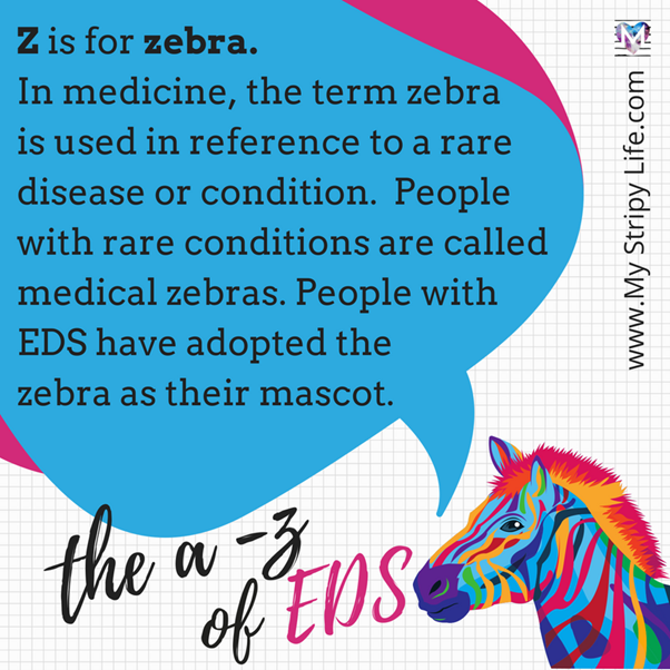Z is for zebra